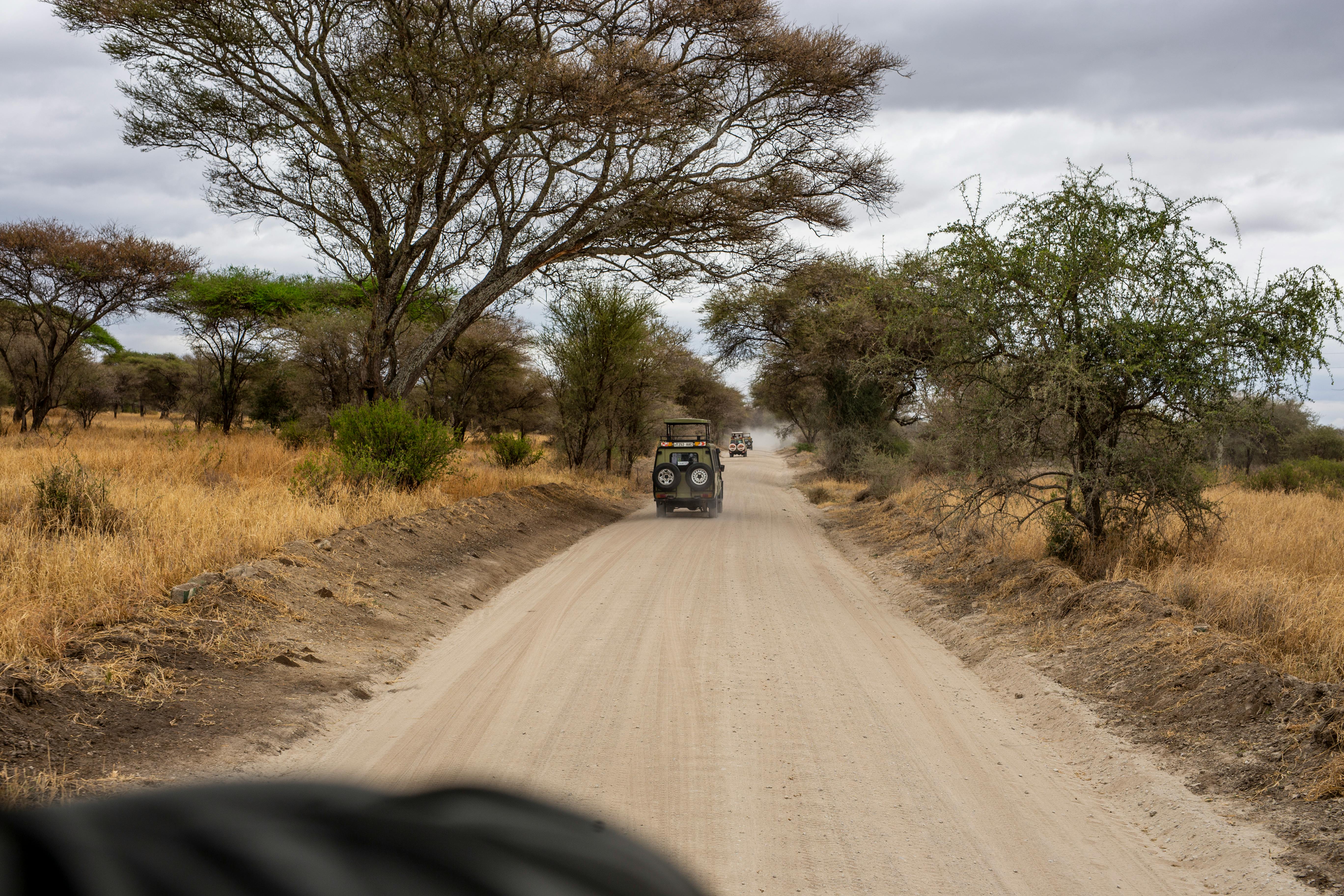 Tours & Safari